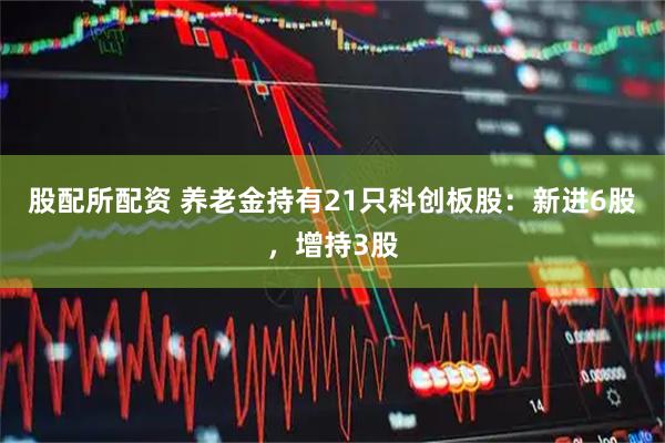 股配所配资 养老金持有21只科创板股：新进6股，增持3股