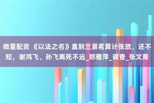 微量配资 《以法之名》直到兰景茗算计张放,还不知,谢鸿飞、孙飞离死不远_郑雅萍_调查_张文菁